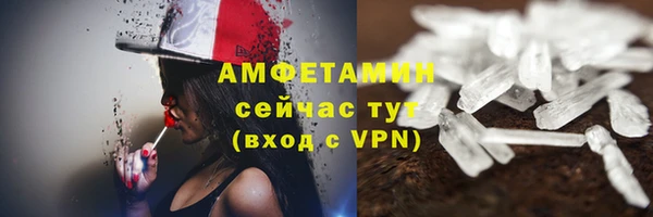 mdpv Вяземский